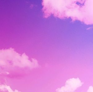 Meet your Posher, Tamika